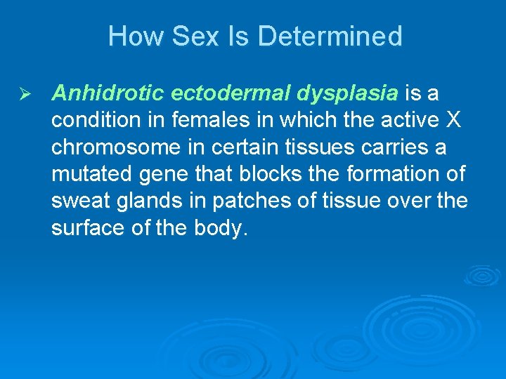 How Sex Is Determined Ø Anhidrotic ectodermal dysplasia is a condition in females in