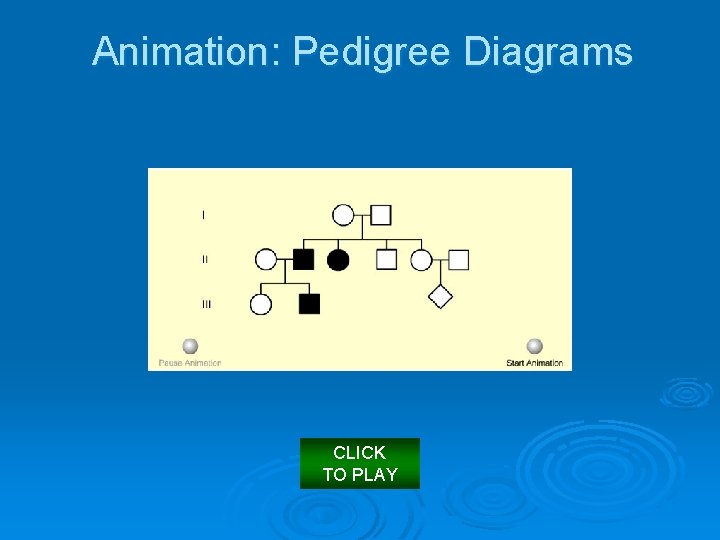 Animation: Pedigree Diagrams CLICK TO PLAY 