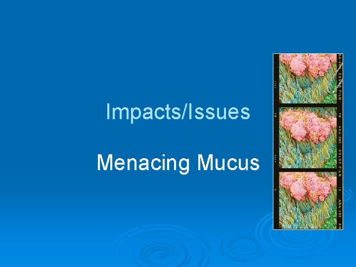 Impacts/Issues Menacing Mucus 