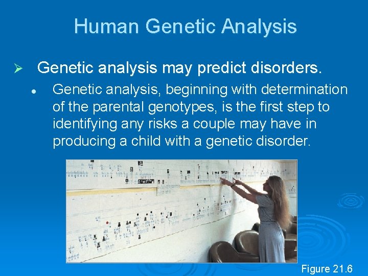 Human Genetic Analysis Genetic analysis may predict disorders. Ø l Genetic analysis, beginning with