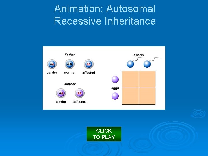 Animation: Autosomal Recessive Inheritance CLICK TO PLAY 