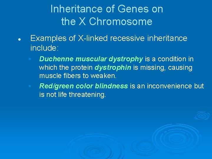 Inheritance of Genes on the X Chromosome l Examples of X linked recessive inheritance