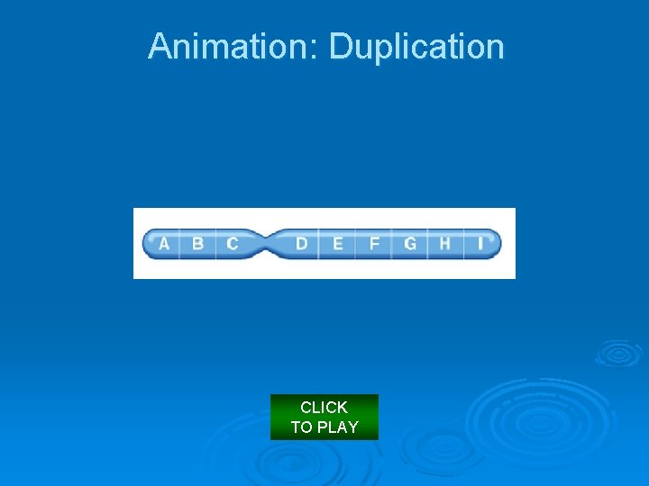 Animation: Duplication CLICK TO PLAY 