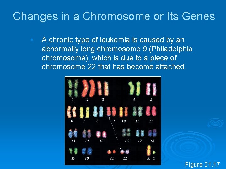 Changes in a Chromosome or Its Genes • A chronic type of leukemia is