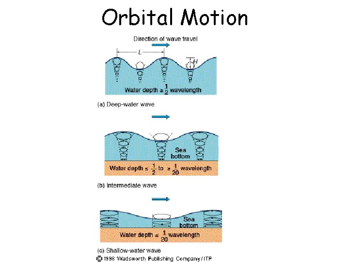 Orbital Motion 