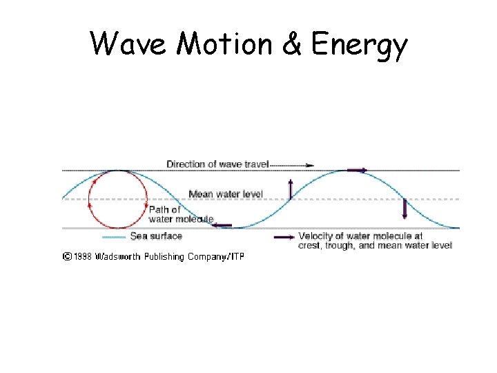 Wave Motion & Energy 
