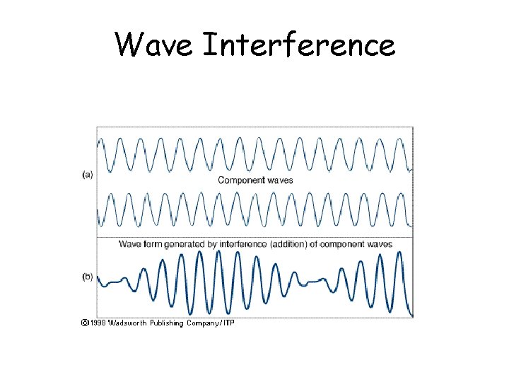Wave Interference 