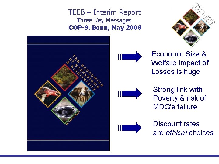 TEEB – Interim Report Three Key Messages COP-9, Bonn, May 2008 Economic Size &