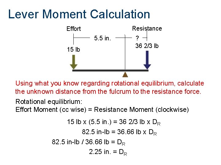 Lever Moment Calculation Resistance Effort 5. 5 in. 15 lb ? 36 2/3 lb