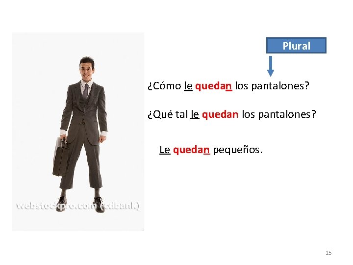 Plural ¿Cómo le quedan los pantalones? ¿Qué tal le quedan los pantalones? Le quedan Plural ¿Cómo le quedan los pantalones? ¿Qué tal le quedan los pantalones? Le quedan