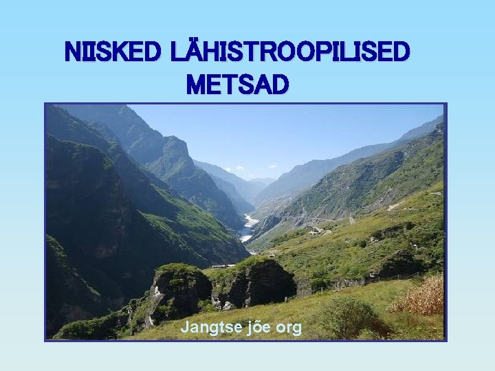 NIISKED LÄHISTROOPILISED METSAD Jangtse jõe org 