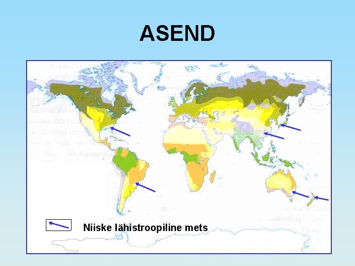 ASEND Niiske lähistroopiline mets 