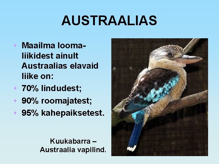 AUSTRAALIAS s Maailma loomaliikidest ainult Austraalias elavaid liike on: s 70% lindudest; s 90%