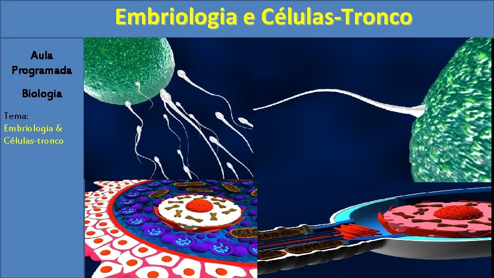 Embriologia e Células-Tronco Aula Programada Biologia Tema: Embriologia & Células-tronco 