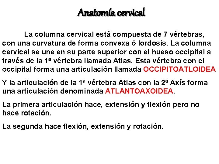 Anatomía cervical La columna cervical está compuesta de 7 vértebras, con una curvatura de