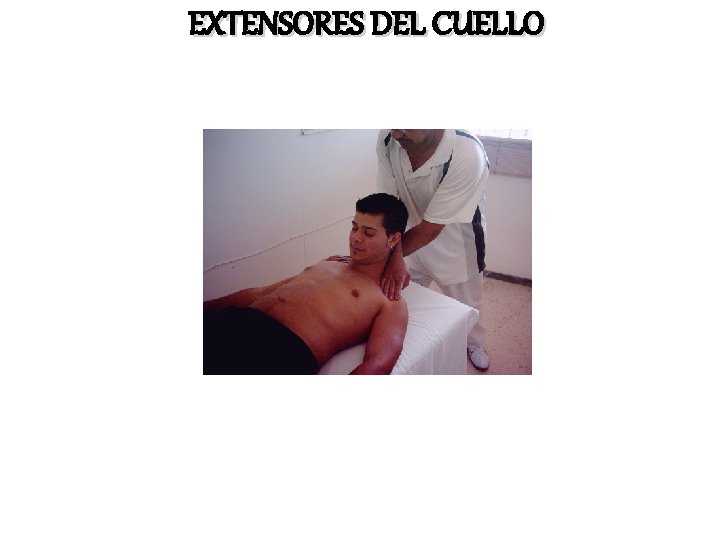 EXTENSORES DEL CUELLO 