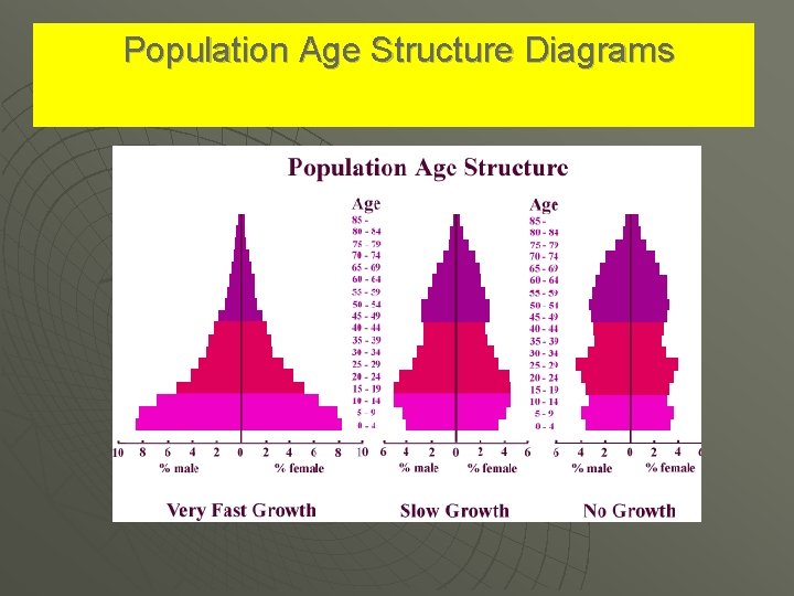 Population Age Structure Diagrams 