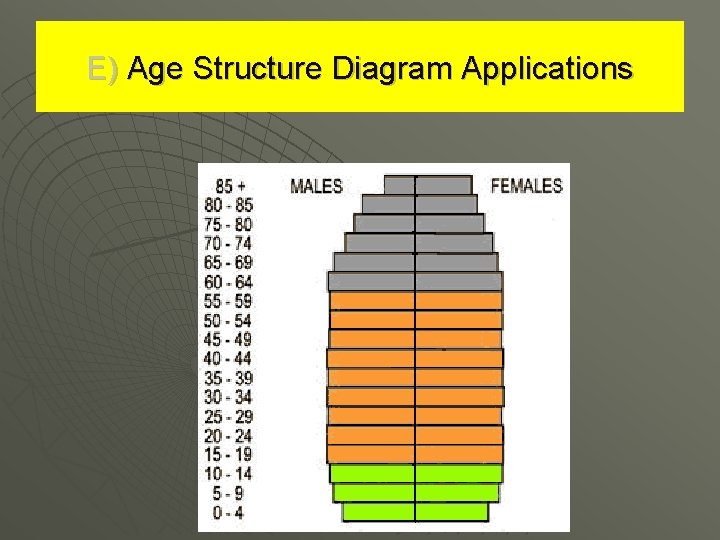 E) Age Structure Diagram Applications 