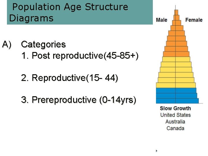  Population Age Structure Diagrams A) Categories 1. Post reproductive(45 -85+) 2. Reproductive(15 -