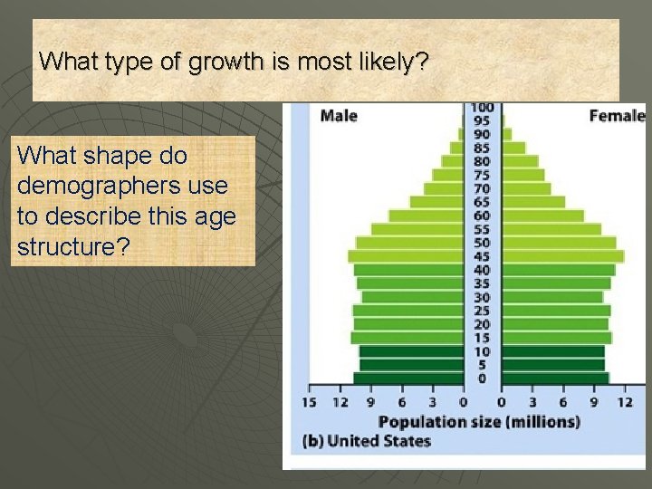 What type of growth is most likely? What shape do demographers use to describe