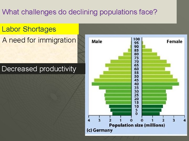 What challenges do declining populations face? Labor Shortages A need for immigration Decreased productivity