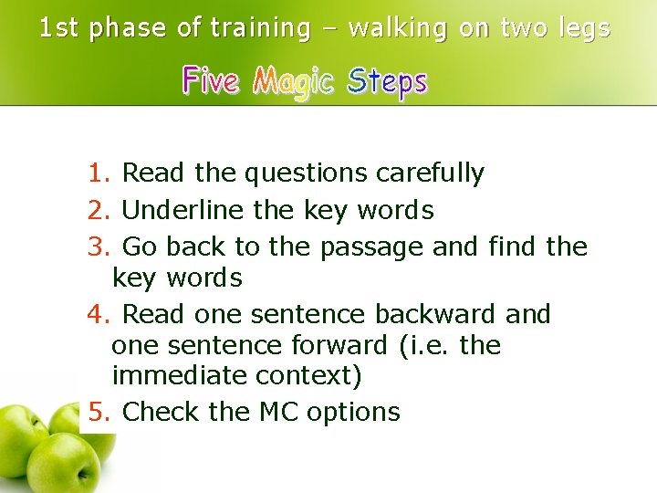 1 st phase of training – walking on two legs 1. Read the questions