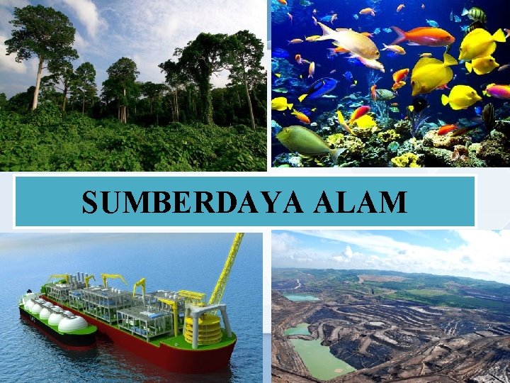 SUMBERDAYA ALAM 