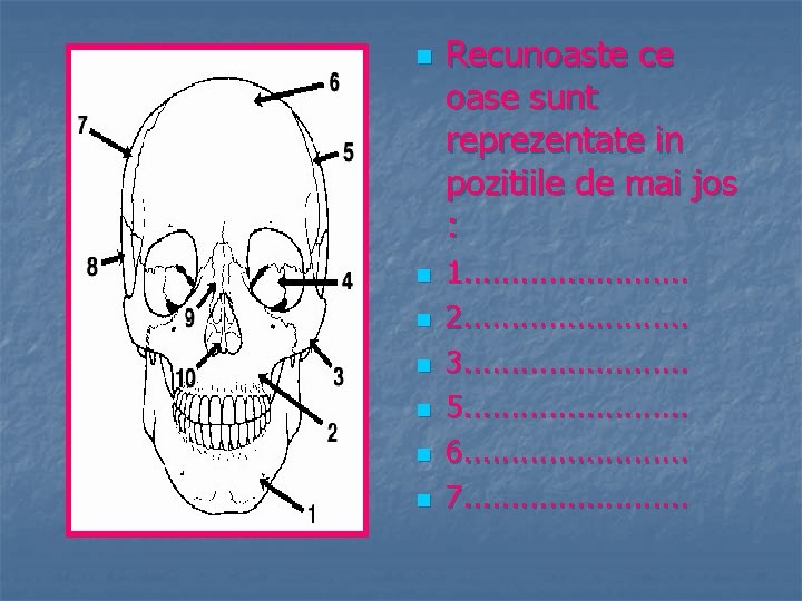 n n n n Recunoaste ce oase sunt reprezentate in pozitiile de mai jos