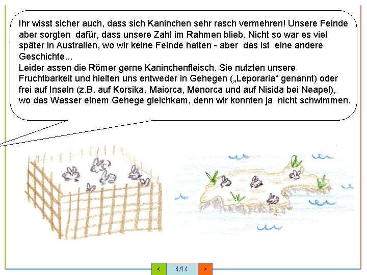 Ihr wisst sicher auch, dass sich Kaninchen sehr rasch vermehren! Unsere Feinde aber sorgten