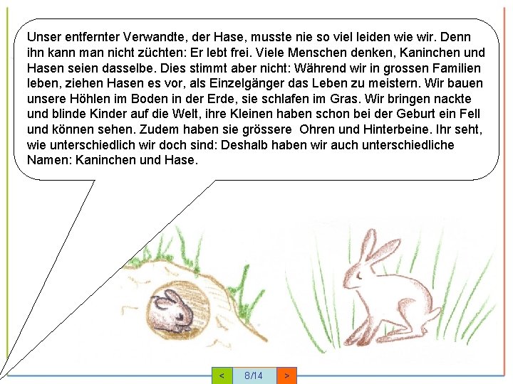 Unser entfernter Verwandte, der Hase, musste nie so viel leiden wie wir. Denn ihn