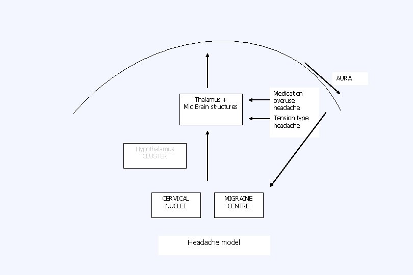 AURA Thalamus + Mid Brain structures Medication overuse headache Tension type headache Hypothalamus CLUSTER