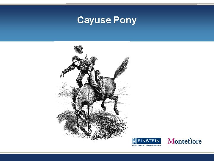 Cayuse Pony Cayuse Pony