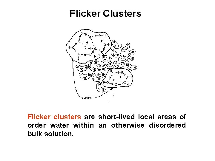 Flicker Clusters Flicker clusters are short-lived local areas of order water within an otherwise