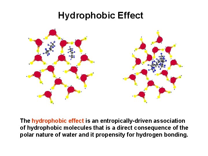 Hydrophobic Effect The hydrophobic effect is an entropically-driven association of hydrophobic molecules that is