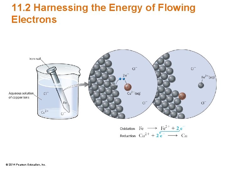 11. 2 Harnessing the Energy of Flowing Electrons © 2014 Pearson Education, Inc. 