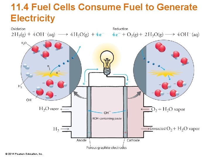 11. 4 Fuel Cells Consume Fuel to Generate Electricity © 2014 Pearson Education, Inc.