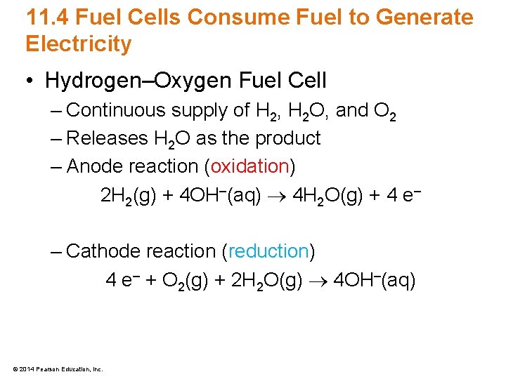 11. 4 Fuel Cells Consume Fuel to Generate Electricity • Hydrogen–Oxygen Fuel Cell –