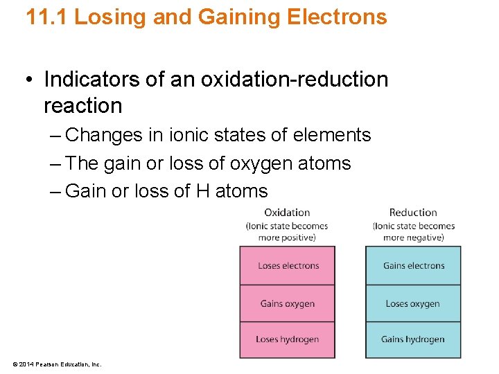 11. 1 Losing and Gaining Electrons • Indicators of an oxidation-reduction reaction – Changes