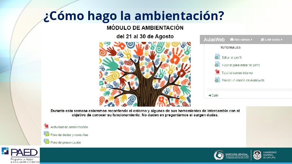 ¿Cómo hago la ambientación? 