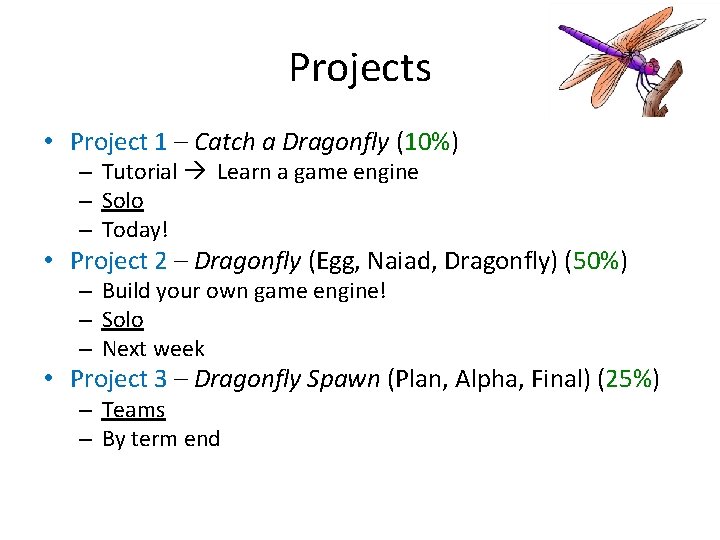 Projects • Project 1 – Catch a Dragonfly (10%) – Tutorial Learn a game