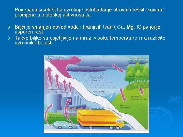 Povećana kiselost tla uzrokuje oslobađanje otrovnih teških kovina i promjene u biološkoj aktivnosti tla