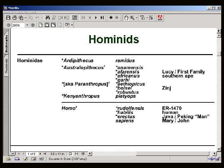 Hominids 