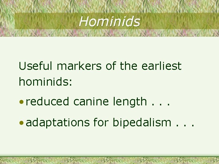 Hominids Useful markers of the earliest hominids: • reduced canine length. . . •