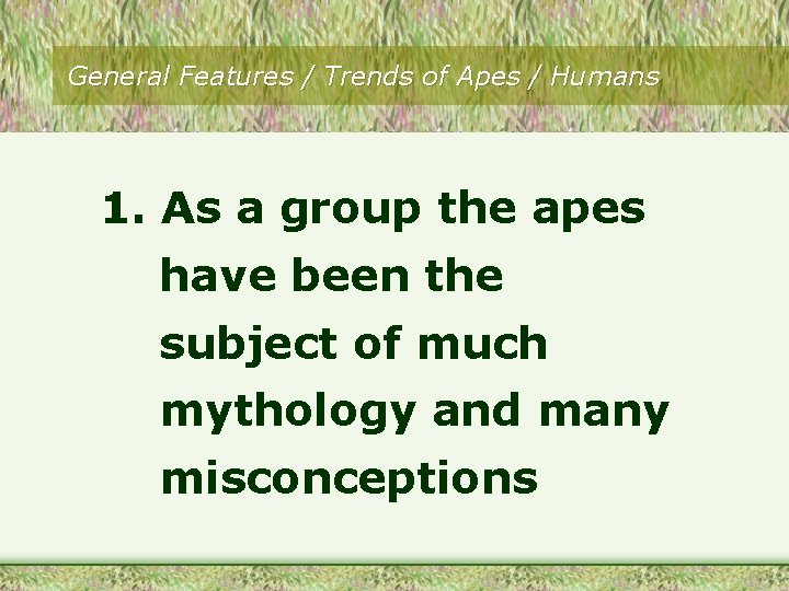 General Features / Trends of Apes / Humans 1. As a group the apes