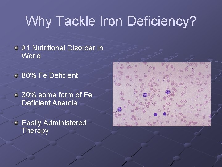Why Tackle Iron Deficiency? #1 Nutritional Disorder in World 80% Fe Deficient 30% some
