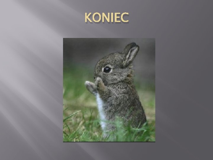 KONIEC 