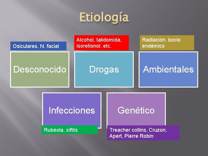 Etiología Osiculares, N. facial Alcohol, talidomida, isoretionol, etc. Desconocido Drogas Infecciones Rubéola, sífilis Radiación,