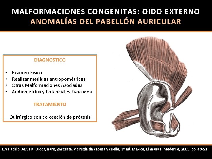 MALFORMACIONES CONGENITAS: OIDO EXTERNO ANOMALÍAS DEL PABELLÓN AURICULAR DIAGNOSTICO MELOTIA • Desplazamiento Examen Físico