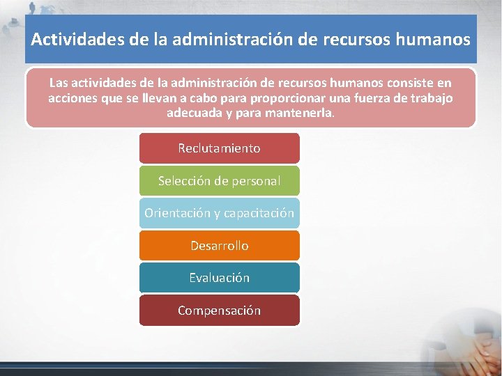 Actividades de la administración de recursos humanos Las actividades de la administración de recursos