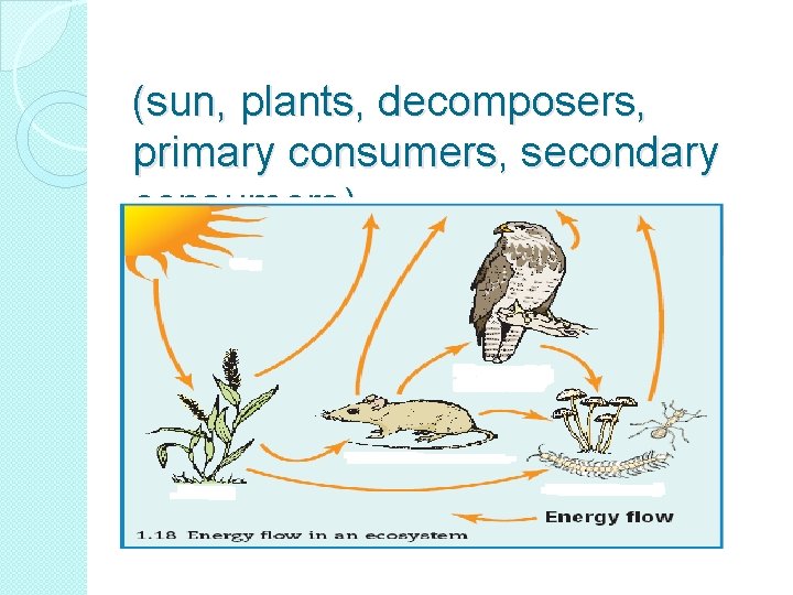  (sun, plants, decomposers, primary consumers, secondary consumers) 